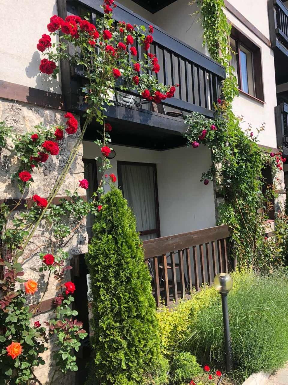 Hotel Zara Bansko Exteriör bild